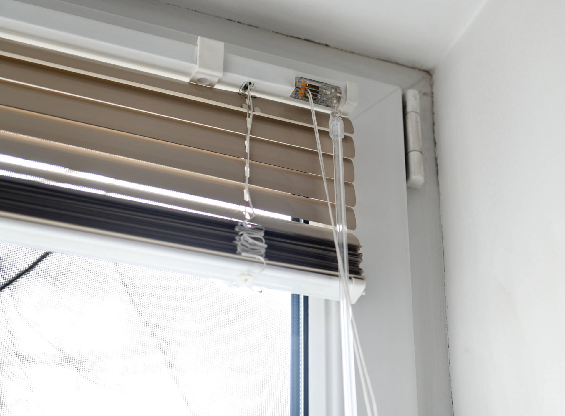 Why Aluminium is the Best Material for Blinds NZ Blinds